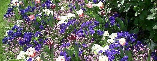 Projet de loi sur la biodiversité : une longueur d&rsquo;avance pour Levallois !